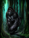 KING_KONG_Forest