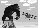 Kong-plane